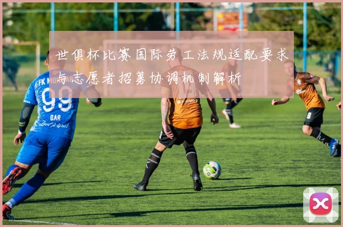 世俱杯比赛国际劳工法规适配要求与志愿者招募协调机制解析