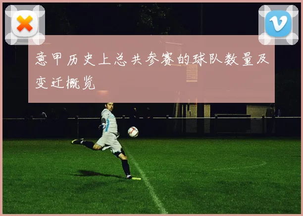 意甲历史上总共参赛的球队数量及变迁概览