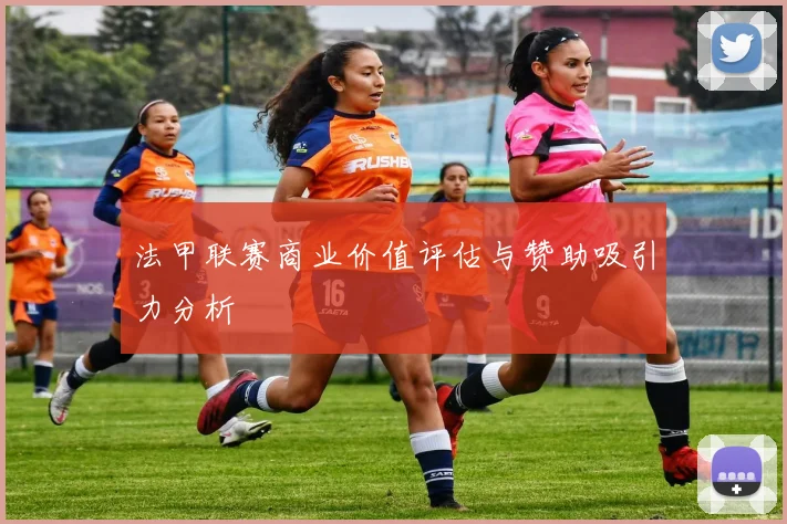 法甲联赛商业价值评估与赞助吸引力分析